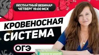 КРОВЕНОСНАЯ СИСТЕМА