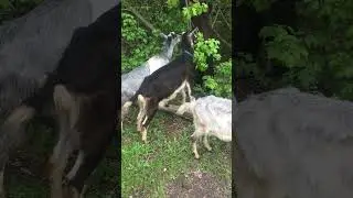 Как вкусно!