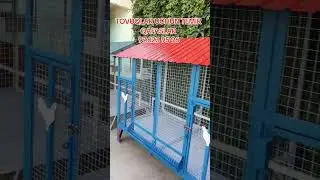 TOVUQ QAFASLARNI YANGISI