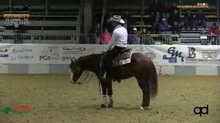 6 show ARAM 2018 - SCHIPPA FRANCESCO su WALLA WALLA GUN GUN di MICCOLIS RITA con score 74,5