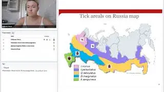 Экспресс тесты в практике ветеринарного врача.