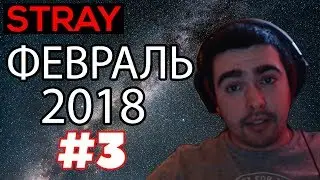 Stray - лучшее со стримов (ч.3) / февраль 2018