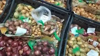 моя колекция лука шалот февраль 2022