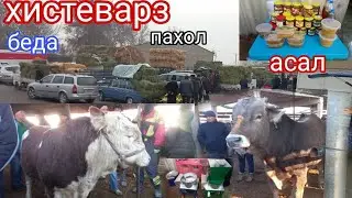 24 января 2025 г.МОЛБОЗОРИ ХИСТЕВАРЗ ЖУМА БОЗОР ХУЧАНД ХУДЖАНД mol bozor
