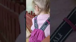 Кормим свинку в контактном зоопарке
