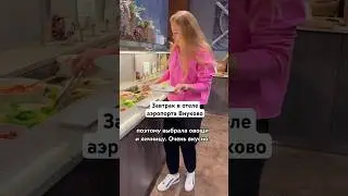 Обзор гостиницы в аэропорту Внуково. Завтрак бесплатный. 2 ч. 