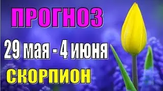 Прогноз на неделю с 29 мая по 4 июня СКОРПИОН. Недельный гороскоп