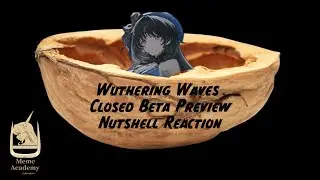 Wuthering Waves Closed Beta Preview Nutshell Reaction