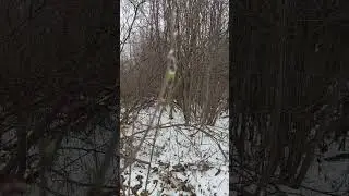 Почти лето.