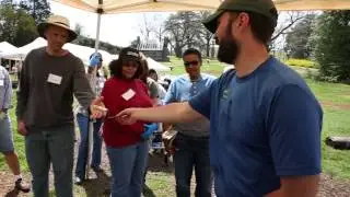 James Madison's Montpelier Breaks Ground in South Yard Enslved Community Site