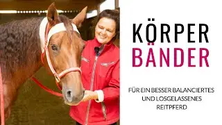 Körperbänder! Anke Recktenwald zeigt dir wie dein Pferd mehr Schwung und Losgelassenheit bekommt