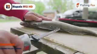 Best Fillet Knives For Fishing (Manual, Electric & Cordless Reviewed)