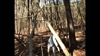MAKING AND COLLECTING FIREWOOD TUTORIAL