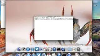 How to enable auto play feature in QuickTime Player
