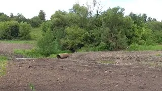 Природа, деревья. Перекопали землю в деревне, деревня Мезенка, орловская область