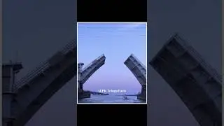 Drawbridge Opens While Car Is Still Crossing #shorts