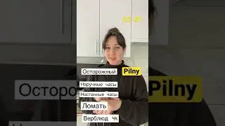 переведи польские слова 