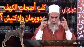 أغرب الأسئلة وأقوى الأجوبة من شمس الدين تموت بالضحك