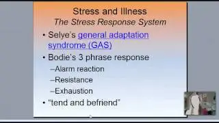 Stress and Illness