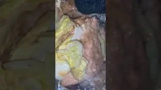 Salmon Baked Miso【Solo Camping】