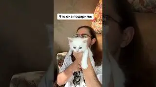 Мяустейшн 5 #др #котенок #приколы