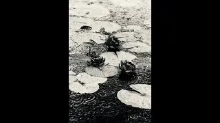 《雨 - Knine Face》Official Audio