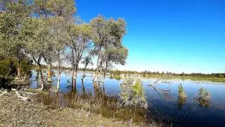 НА СОМА В КОМАРИНЫЕ ДЖУНГЛИ//РЫБАЛКА НА СОМА