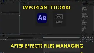 After Effects File Managing | After Effects Tutorial
