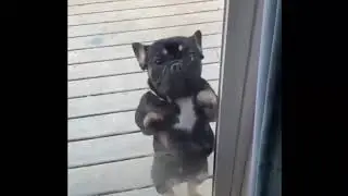 прикольный юмор