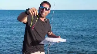 How to catch the first spinning greenhouse fish!
