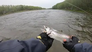 Сима на муходжиг! Долгая поездка в коротком видео!