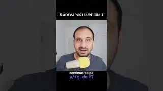 Adevaruri dure din IT : Sefia