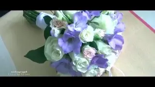Свадьба Ульяновск .Свадебный Клип Дмитрия и Елены