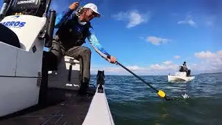 Corvinas de inverno by XTR SKIFF BLADE 15