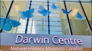 Darwin Centre | Natural history Museum London | September 2022