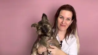Щенок немецкой овчарки из искусственного меха