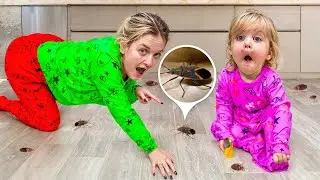 We FOUND BUGS in ARABELLA's ROOM