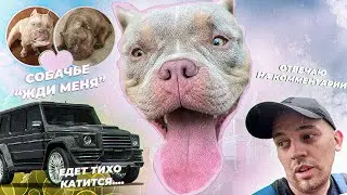 У Малыша АЛЛЕРГИЯ. БРАТ Малыша. Снял конкурс КРАСОТЫ. Ответ на ЗЛЫЕ комменты. ПОДАРОК ОТ ПОДПИСЧИКА!