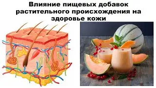 Влияние пищевых добавок растительного происхождения на здоровье кожи