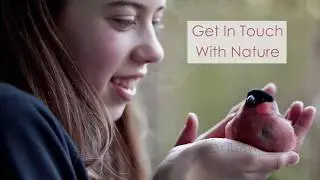Dumb Dad's Guide To Homeschooling