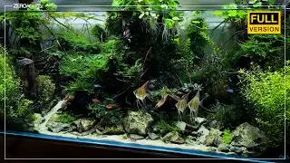 Amazing 120cm Aquascape Setup (2026) | 150 Days Start to Finish (Cinematic)
