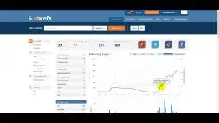 SEOSALE : Что дает прогон сайта? Рост ссылочного окружения, рост трафика