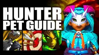 The ULTIMATE Hunter Pet Guide [WoW Midnight]
