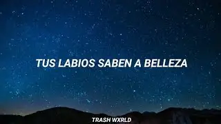 Matt Bellamy - Tomorrow's World [sub. Español]