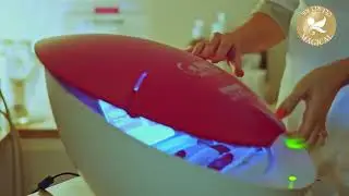 עולם של טיפולי פנים לאישה💖