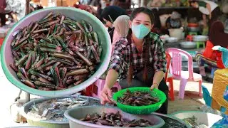 Market show, Yummy Crunchy Razor Clam Curry recipe / You'll forget Razor Clam after taste this curry