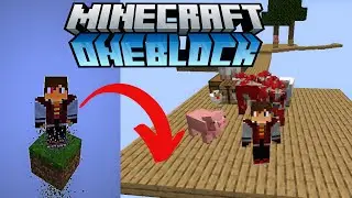 MINECRAFT ONEBLOCK - THE NEW BEGINNING