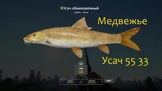рр4! Медвежье.Усач.