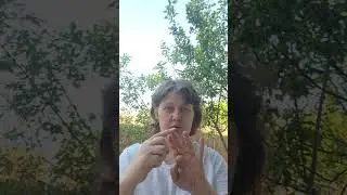 Таблица умножения на пальцах