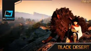 Black Desert утреннее ПвП. Тупняк в БДО